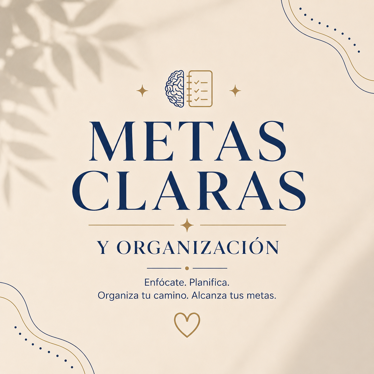 Metas Claras / Organización